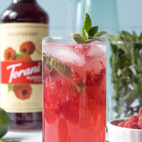 Raspberry Mojito Mocktail>