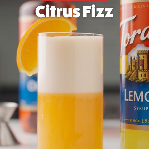 Citrus Fizz Mocktail