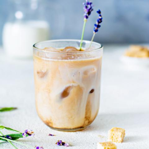 Lavender Vanilla Milk Tea>