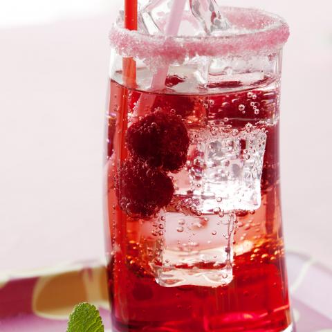 Sugar Free Raspberry Italian Soda